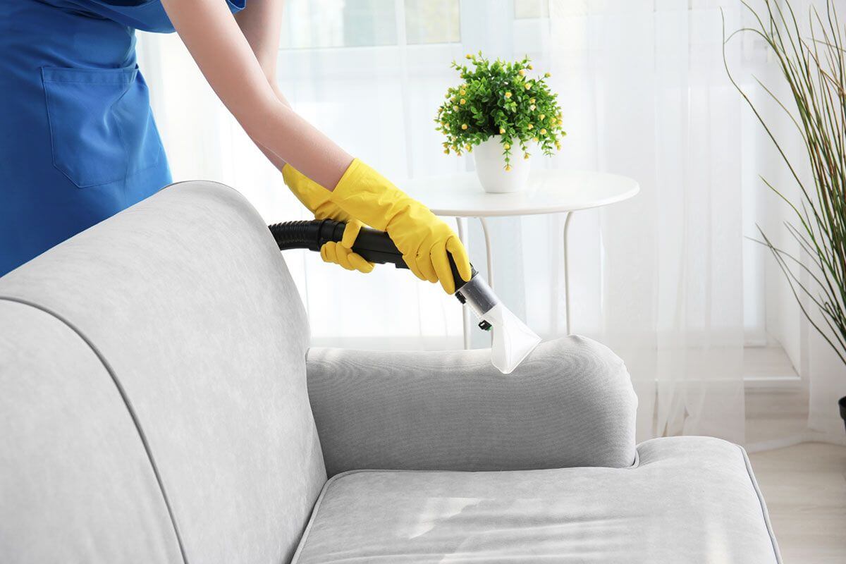 Top Reasons to Invest in A Steam Cleaner Applications of Steam Cleaners in Landmark Maintenance cloudgenietech.com